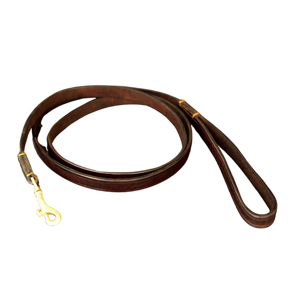 ELS DOG LEAD SIMONSTOWN STANDARD